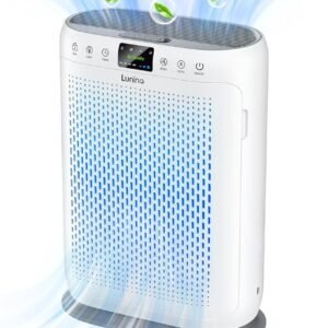 Air Purifier for Home
